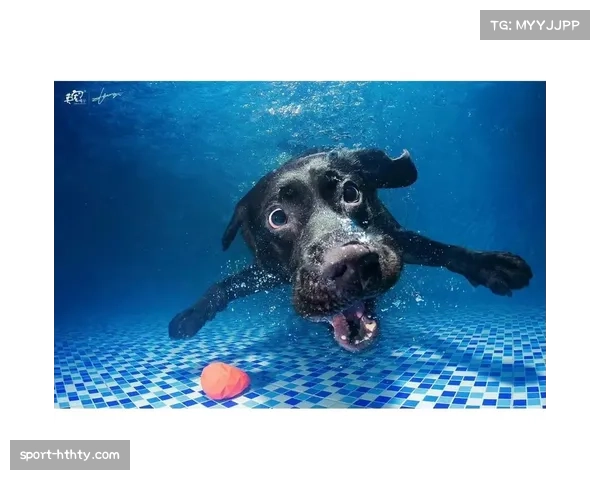 比赛间隙泳池闯入“不速之客”，一只飞蛾引发选手趣谈